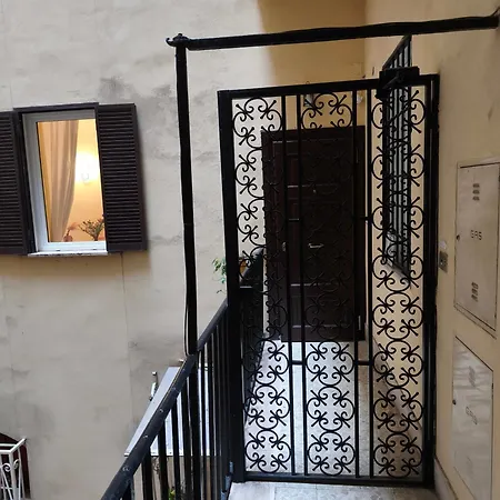 Rare Seed Trastevere-3